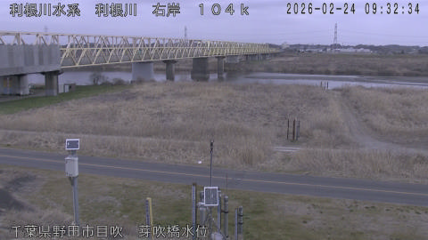 tonme2026022410_image