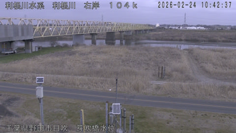 tonme2026022411_image