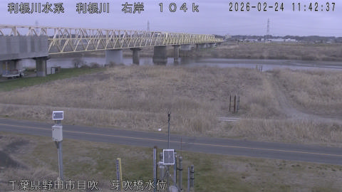 tonme2026022412_image