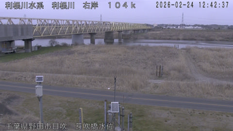 tonme2026022413_image