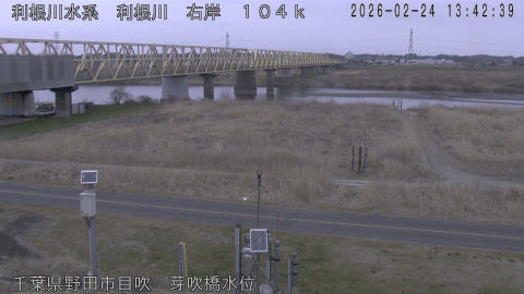 tonme2026022414_image