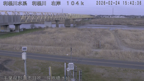 tonme2026022416_image