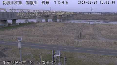 tonme2026022417_image