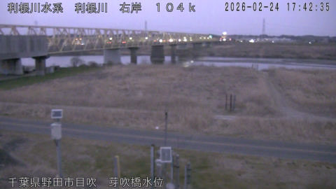 tonme2026022418_image