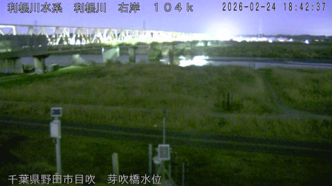 tonme2026022419_image