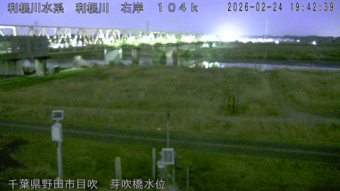 tonme2026022420_image