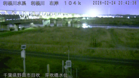 tonme2026022421_image