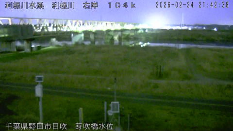 tonme2026022422_image