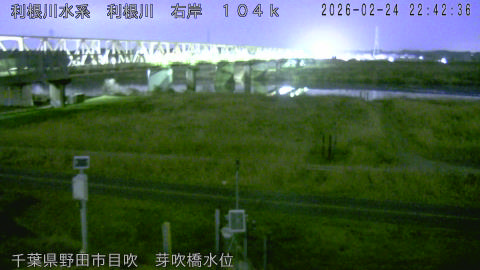 tonme2026022423_image