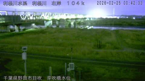 tonme2026022501_image