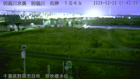 tonme2026022502_image