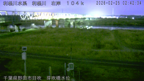 tonme2026022503_image