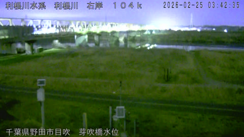 tonme2026022504_image