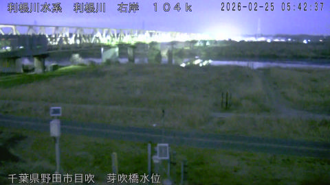 tonme2026022506_image