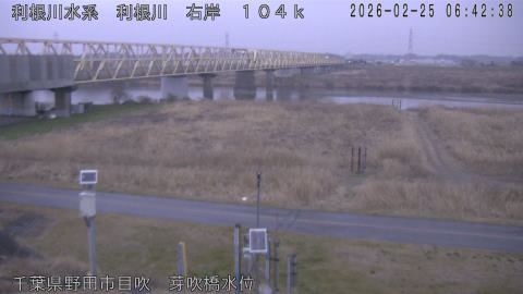 tonme2026022507_image