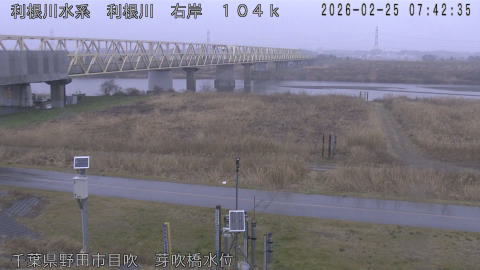 tonme2026022508_image