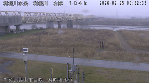 tonme2026022510_image