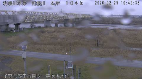 tonme2026022511_image