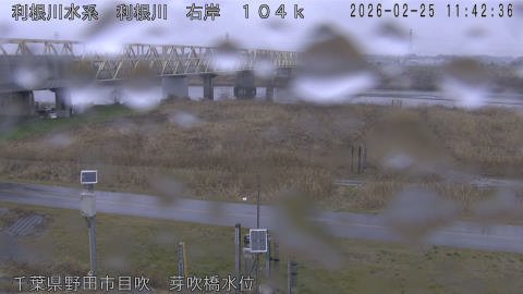 tonme2026022512_image