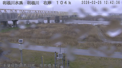 tonme2026022513_image