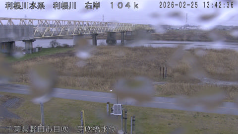 tonme2026022514_image