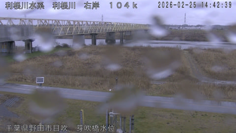 tonme2026022515_image