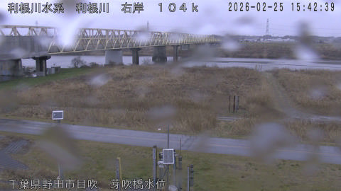 tonme2026022516_image