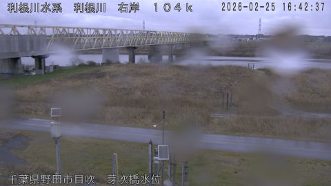 tonme2026022517_image