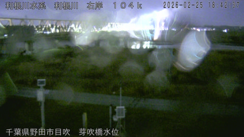 tonme2026022519_image