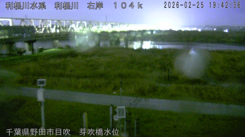 tonme2026022520_image