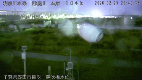 tonme2026022521_image