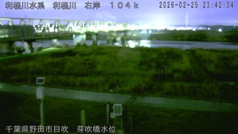 tonme2026022600_image