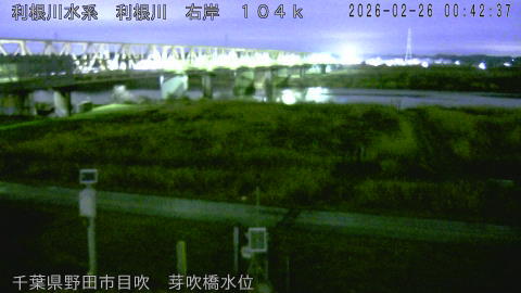 tonme2026022601_image