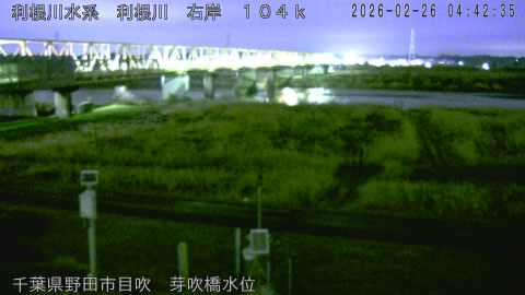 tonme2026022605_image