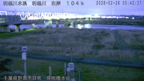 tonme2026022606_image