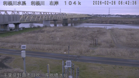 tonme2026022607_image