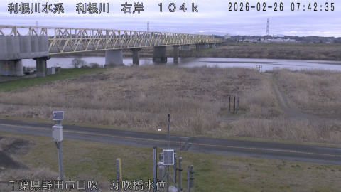 tonme2026022608_image