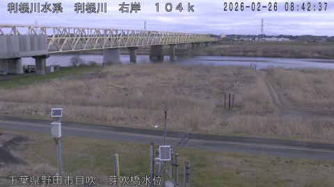 tonme2026022609_image