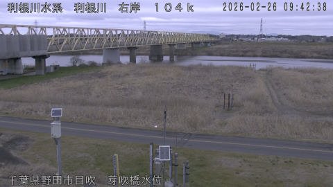 tonme2026022610_image