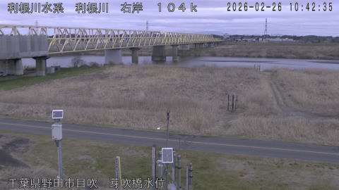 tonme2026022611_image