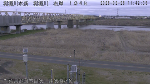 tonme2026022612_image