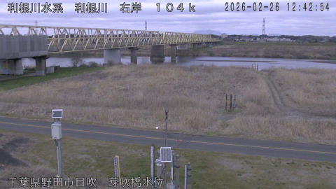 tonme2026022613_image