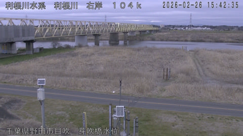 tonme2026022616_image