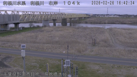 tonme2026022617_image