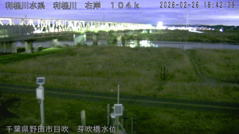 tonme2026022619_image