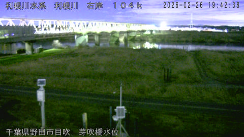 tonme2026022620_image