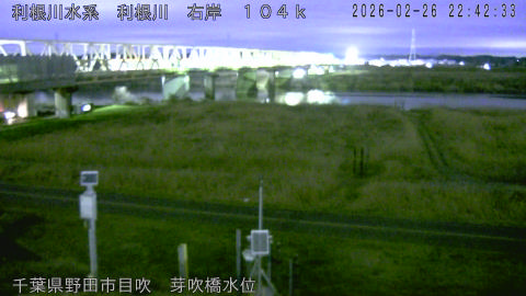 tonme2026022623_image