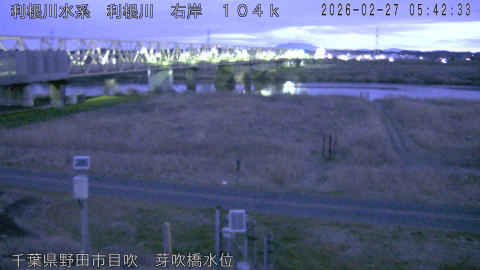 tonme2026022706_image