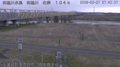 tonme2026022708_image