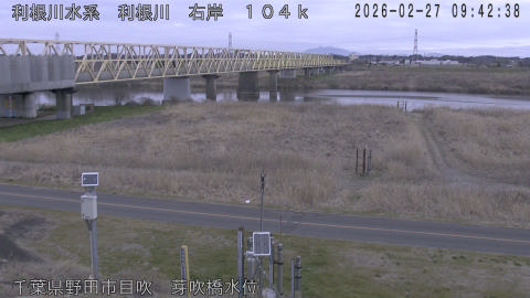 tonme2026022710_image